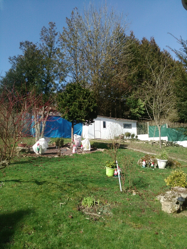 elagage abattage Chamigny 77260